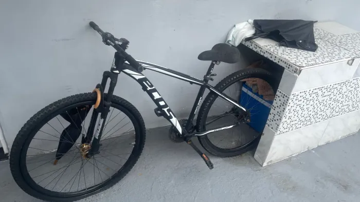 Bicicleta ecos aro 29