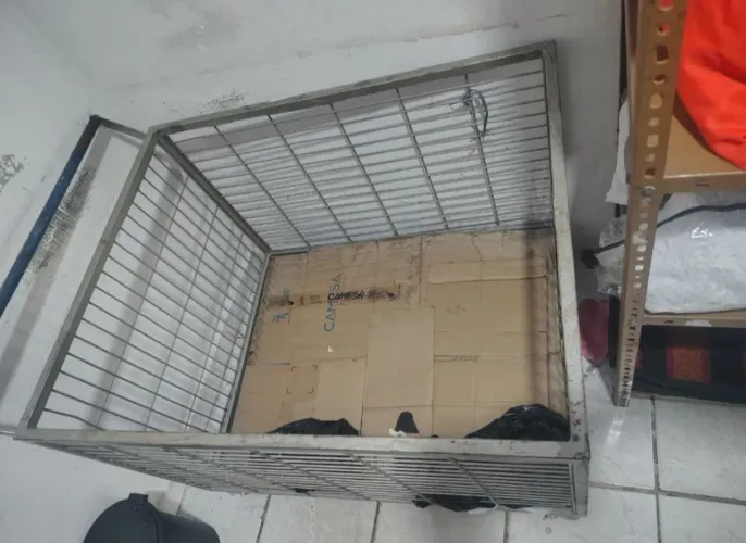 Carinho com rodinha a vendas mercadoria