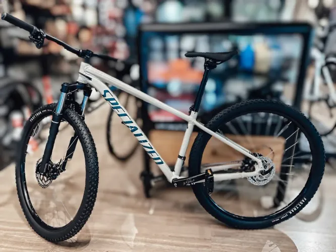 Bicicleta Specialized Rockhopper Aro 29