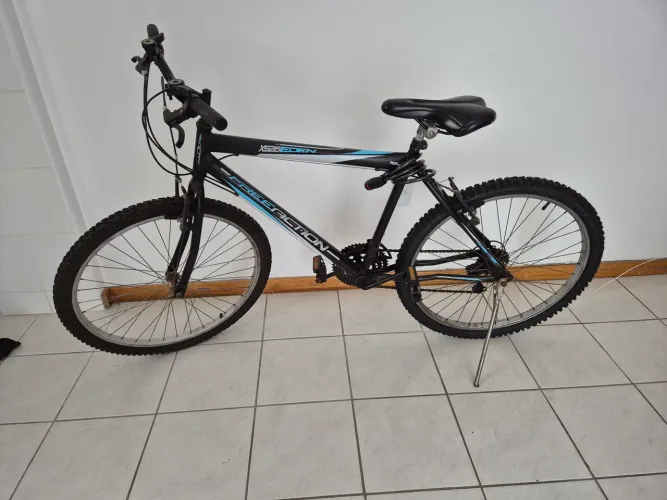Bicicleta