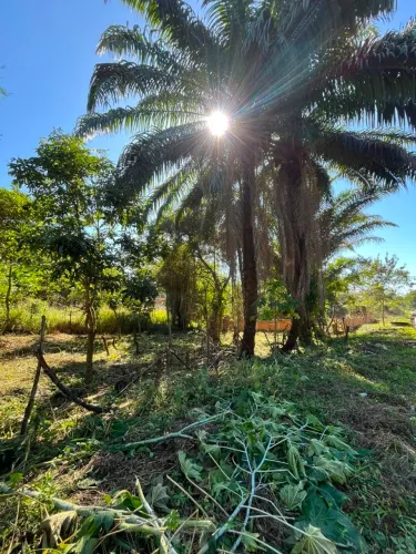 Vendo terreno em jardim primavera