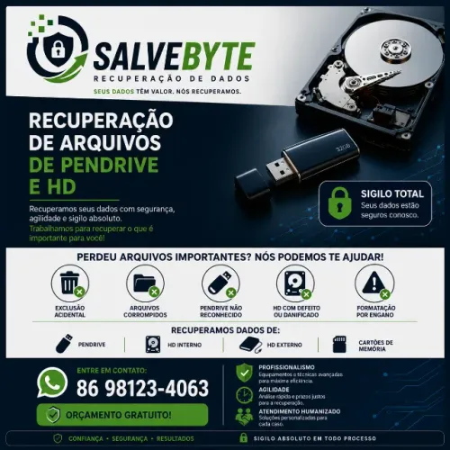 RECUPERAÇÃO DE ARQUIVOS - PENDRIVE - HD - CARTÃO DE MEMORIA 