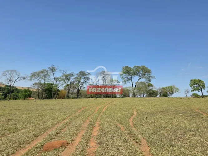 Fazenda 7,75 Alqueires (37,5 Hectares) Corumbá de Goiás - GO