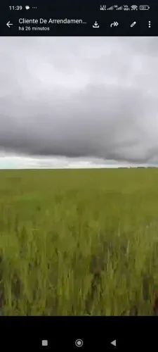 Fazenda no corumbá MS. 12.840 hec pasto nativo R$:12 mil por hec
