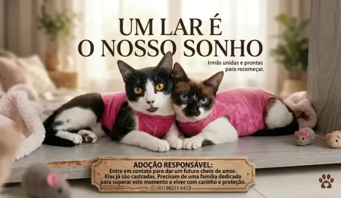 Mãe  e Filha. Já estão Castradas. Adoção Responsavel 