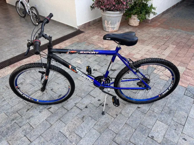 Bicicleta adulto
