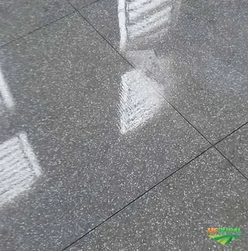 Pisos de Granitina 