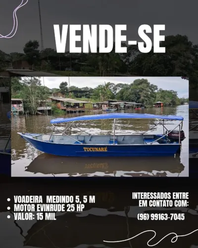 VOADEIRA + MOTOR EVINRUDE 25 HP