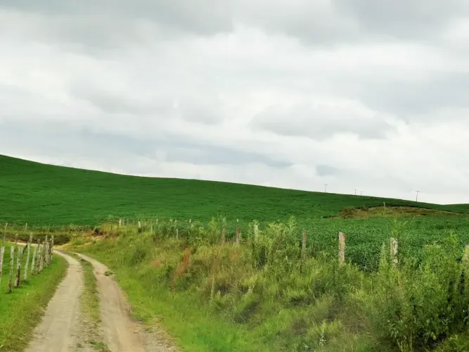 Fazenda com 320 hectares - Bom Retiro - Serra Catarinense