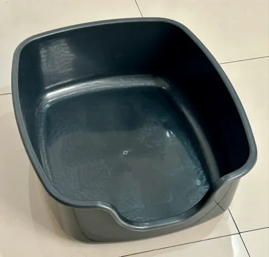 Caixa de areia grande gatos