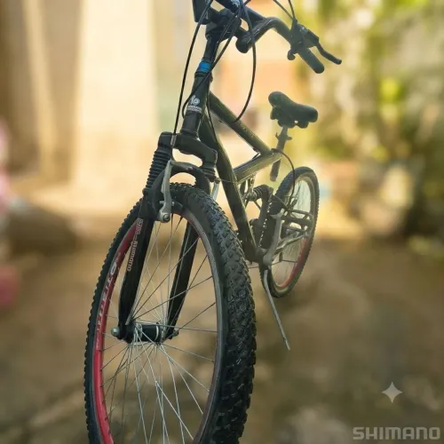 Vendo bicicleta.