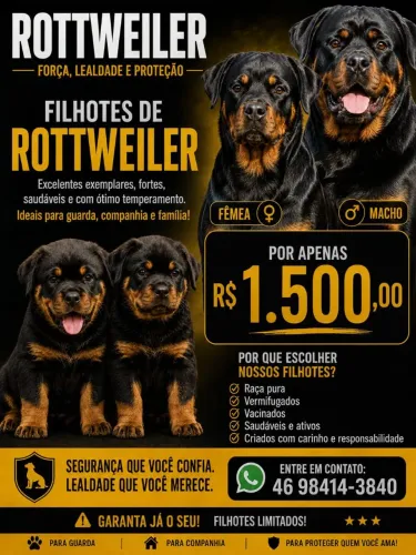 Rottweiler