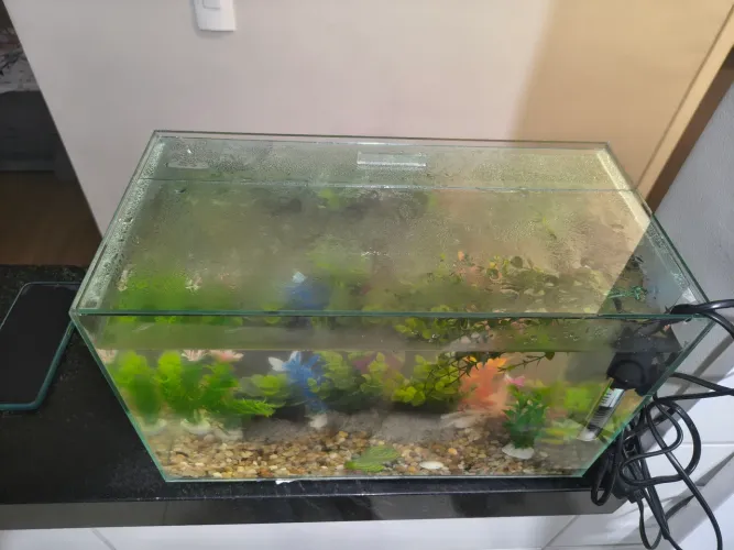 Aquário 20,8L Completo - Usado por apenas 20 dias! (Filtro + Termostato)