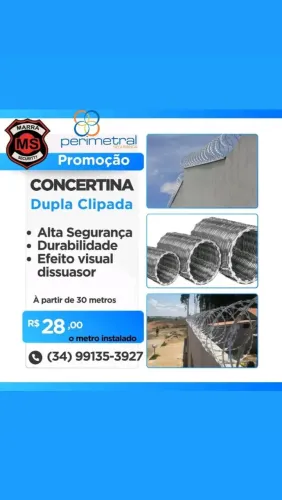 Concertina Perimetral Dupla Clipada Galvanizada 45cm