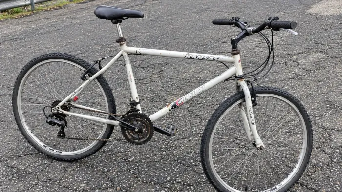 Bicicleta