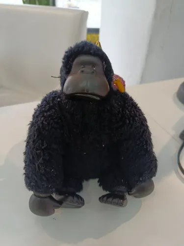Macaco Murphy estrela
