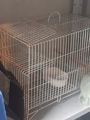gaiola para calopsita ou periquito