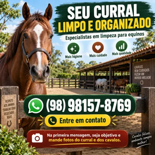 Limpeza de curral especializada em equinos
