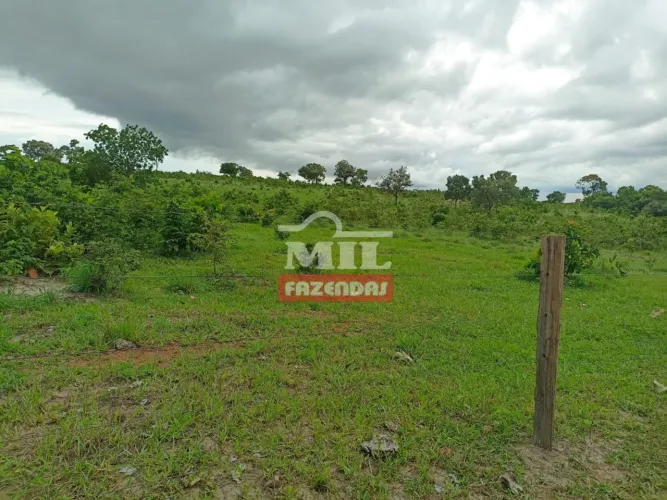 Fazenda 40 Alqueires (193,6 hectares) Faina - GO