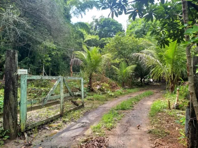 Lindo Sítio em Pinheiral - KM5 - 9.000m²
