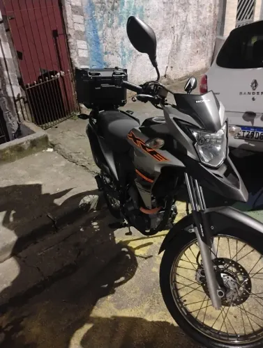 Moto boa