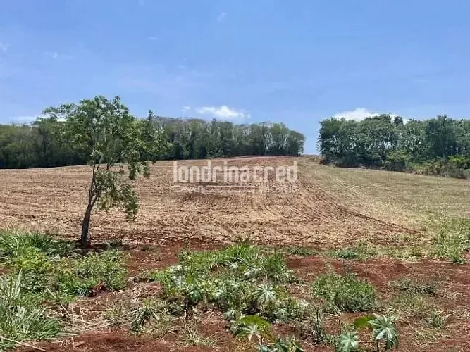 Sítio de 8 Alqueires em Uraí-PR, com 80% de área aproveitada para plantio de Soja, próximo