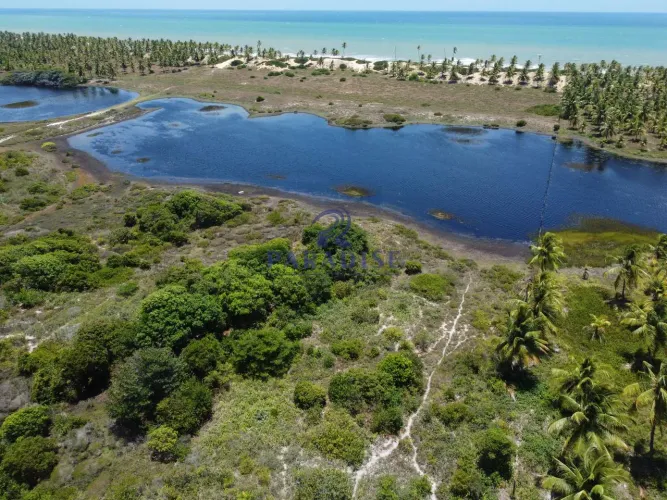 Área, Sitio do Conde, Conde - R$ 6.5 mi, Cod: 68762