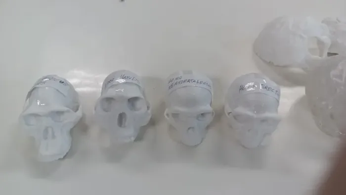 impressão 3D de peças anatomicas