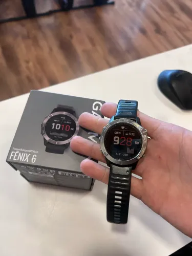 Fênix 6