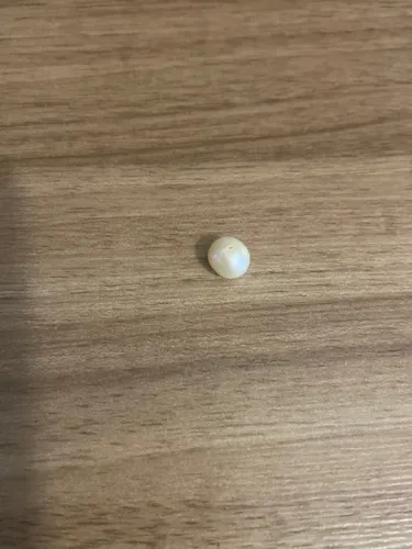 Pérola de água doce