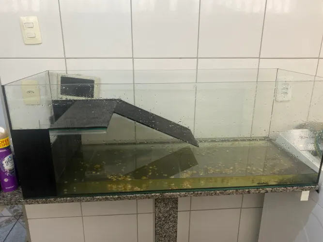 Aquário/ aquaterrario 