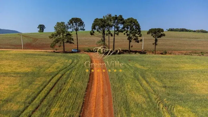 Tibagi, surpreendente plantando 100 hectares, quase 100%, poço artesiano, cachoeira, à ven