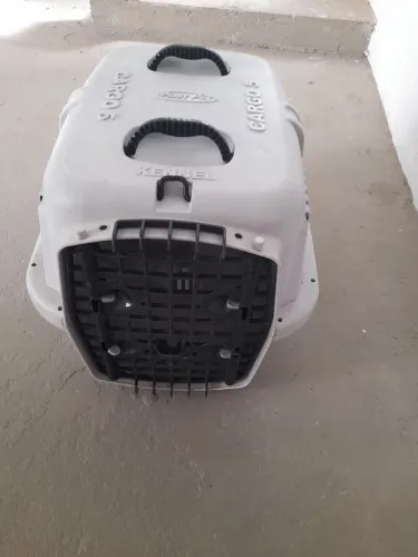 Transporte para cães 