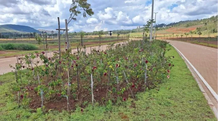 LOTE À VENDA EM CONDOMINIO FECHADO ALPHAVILLE RESERVA LAGUNA