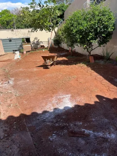 Grama já plantada 