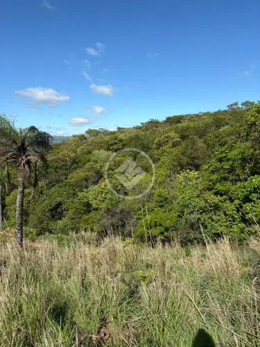 Terreno Rural Sendo 24 Hectares a Venda Santana do Riacho codigo: 280309