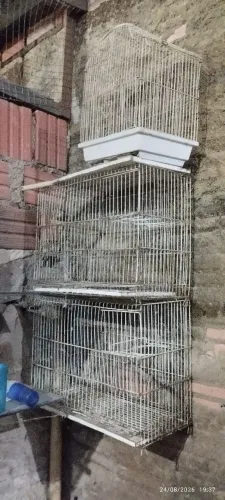 Gaiola pra pets