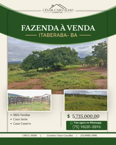 FAZENDA EM ITABERABA - 1850 TAREFAS