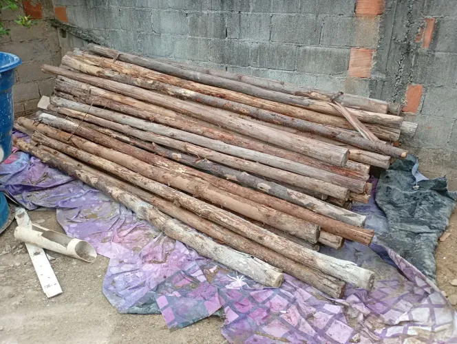 Escoras de eucalipto utilizadas apenas uma vez