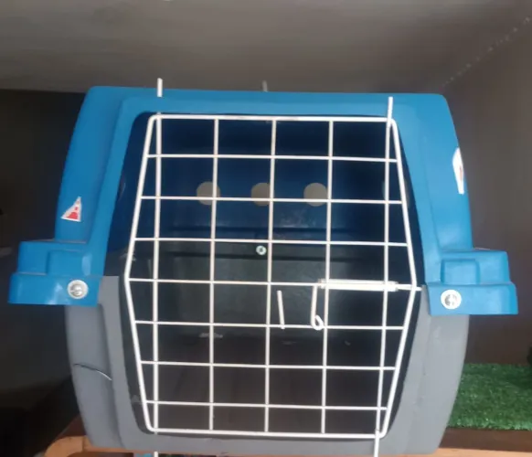 CAIXA de transporte pet  Ideal Dog padrão IATA VIAGENS