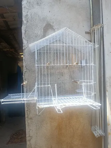 Gaiola