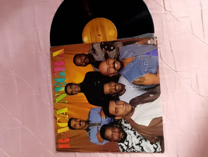 Vinil raça negra 