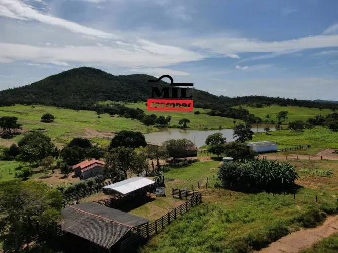 Fazenda 52 alqueires ( 251,68 hectares ) Uruaçu-GO