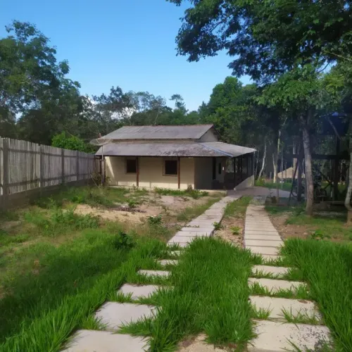 Terreno com casa e igarapé, próximo Alter do Chão a 20minutinhos da cidade