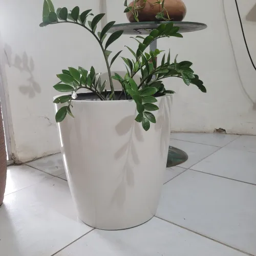 Vaso para plantas novo em fibra de vidro