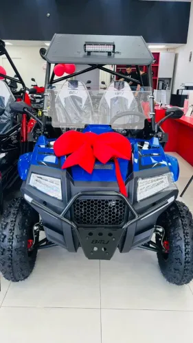  UTV 250 TX2 QUADRICICLO - SEM EMPLACAMENTO OU CNH 