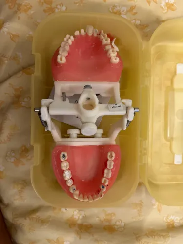 VENDO MANEQUIM ODONTOLOGIA 