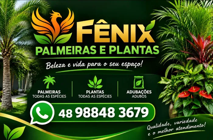 Palmeiras e plantas