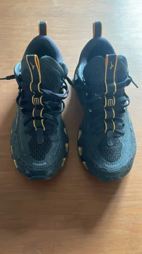 Mizuno prophecy 13 