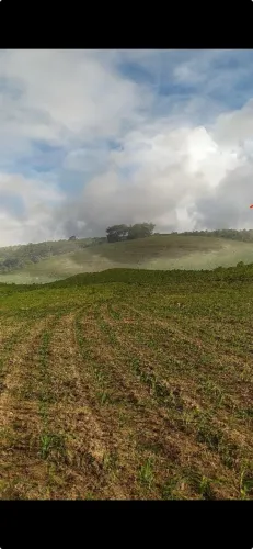 Fazenda em Campo do Brito